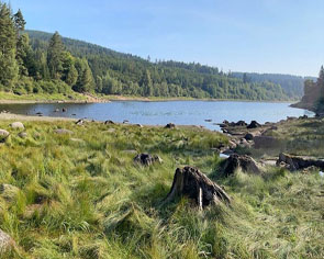 Schwarzenbachtalsperre Forbach-Herrenwies Badesee Wassersport