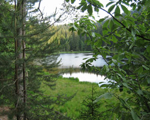 Herrenwieser See Perle des Schwarzwaldes aktiv Wandern ab Herrenwies