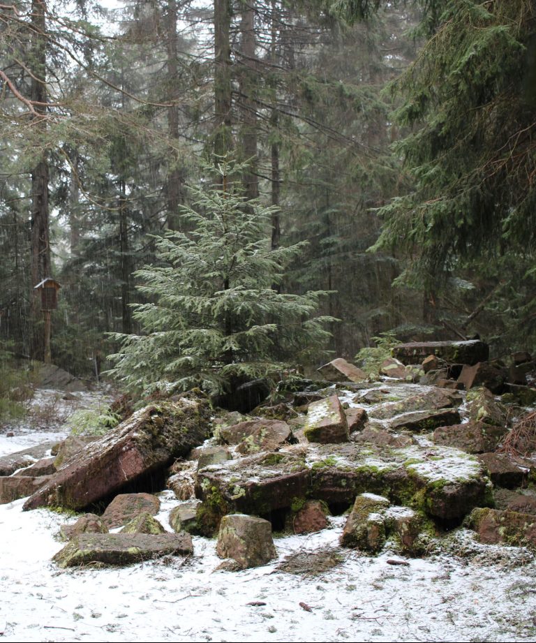 Hoher Ochsenkopf am Beckerweg, geprengter Turm Ochsenkopf von 1970