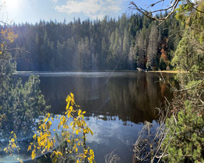 Aktiv zum Wildsee Idyll im Nationalpark Nordschwarzwald