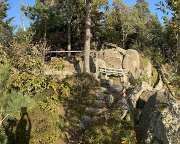 Bühlerstein Ferienwohnung Bühlertal Wanderung im Schwarzwald