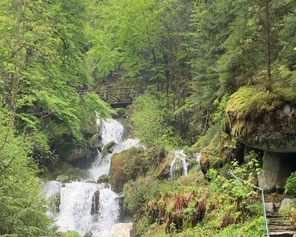 Wasser Bäume und Pfad Gertelbacher Wasserfälle Bühlertal Nähe Ferienwohnung Herrenwies