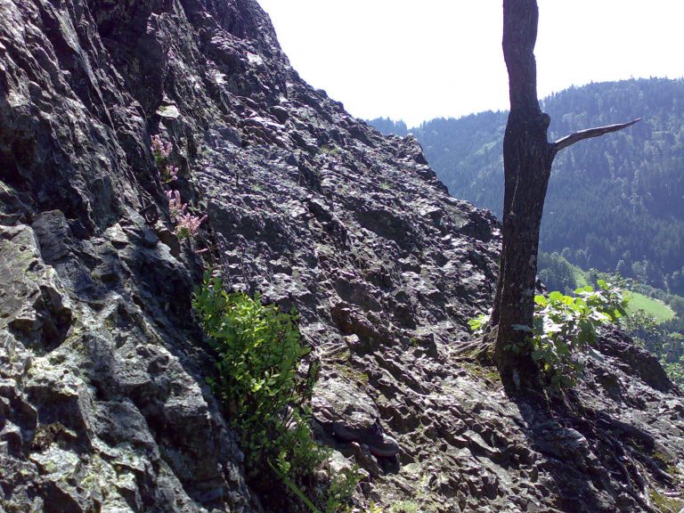 Ferienwohnung Herrenwies Karlsruher Grat bei Ruhestein Nationalpark Kletterpartie bei Ruhestein Nationalpark