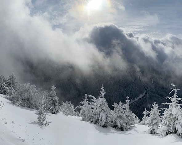Schwarzkopfloipe oberhalb der Schwarzwaldhochstraße Herrenwies Ferienwohnungen