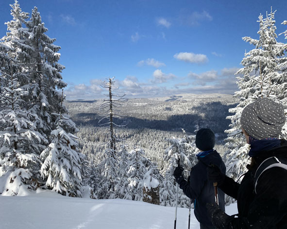 Langlauf Loipe Herrenwies ab Ferienwohnungen im Schwarzwald Forbach bei Baden-Baden Schnee und Bäume