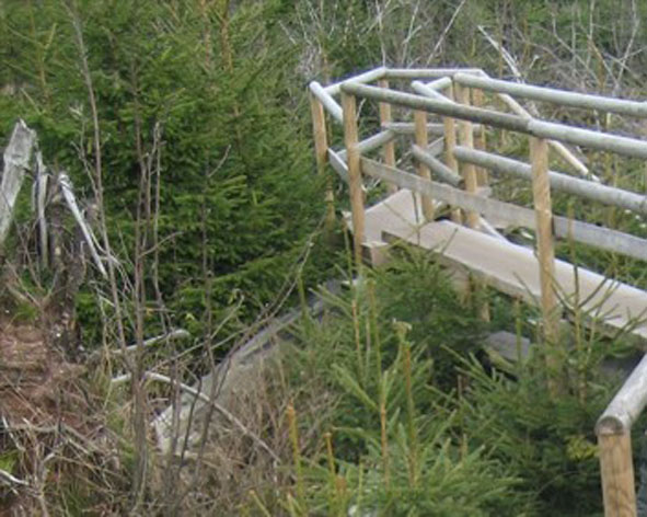 Lotharpfad Schwarzwaldhochstraße nahe Ferienwohnung und Ruhestein Nationalpark