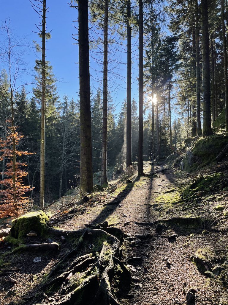 Philosophenweg Plättig Baden-Baden Ferienwohnungen Schwarzwald