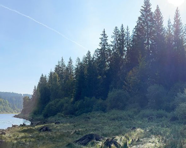 Ferienwohnungen Forbach Schwarzenbachtalsperre bei der Ferienwohung Herrenwies