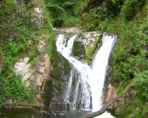 Wasserfälle Allerheiligen Engelskanzel Klosterruine Nationalparkzentrum Ferienwohnung Herrenwies