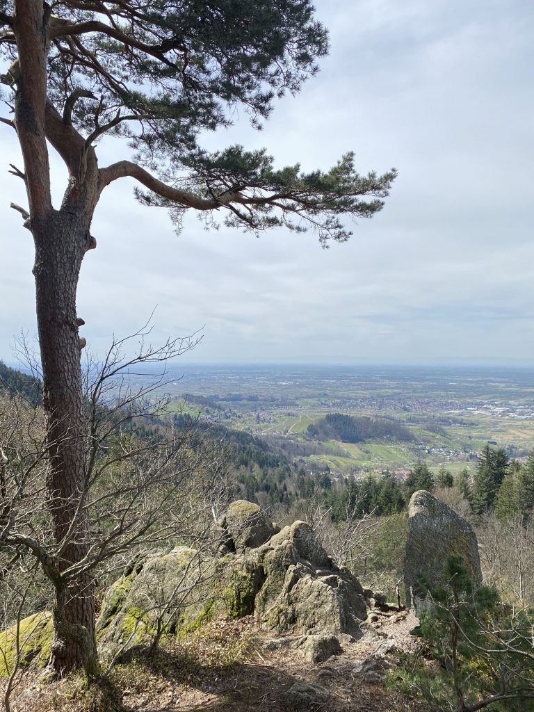 Bühler Stein Aussicht Bühl