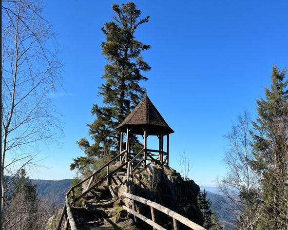Forbach Latschigfelsen Kaltenbronn und Holohturm